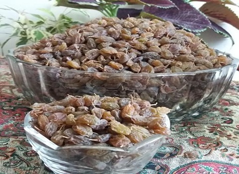 تصویر 3 از قیمت خرید کشمش سایه خشک ملایر با فروش عمده